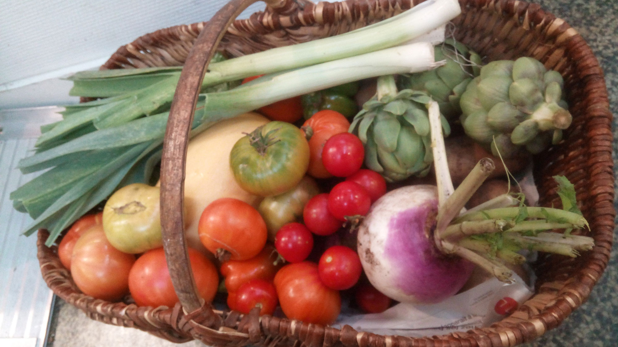 Panier de légumes de l'AMAP