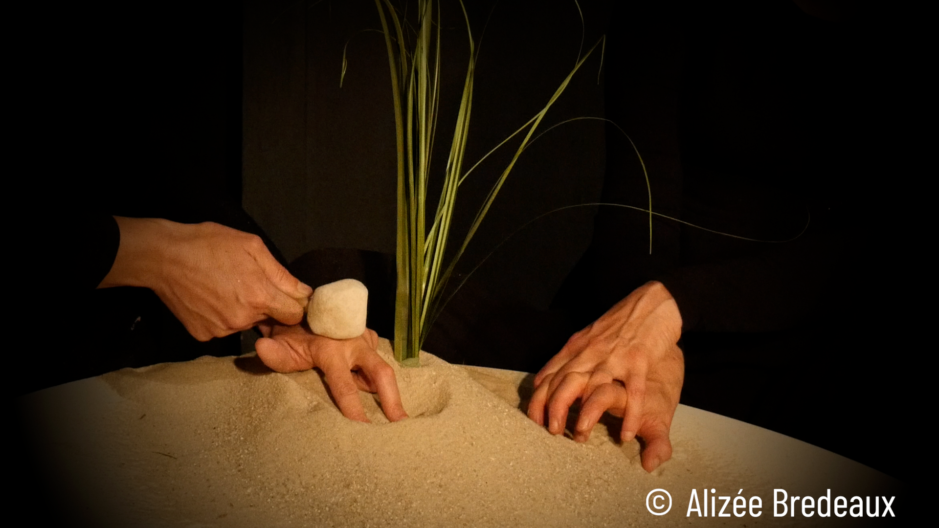 Visuel de l'événement « GRAIN DE SABLE »