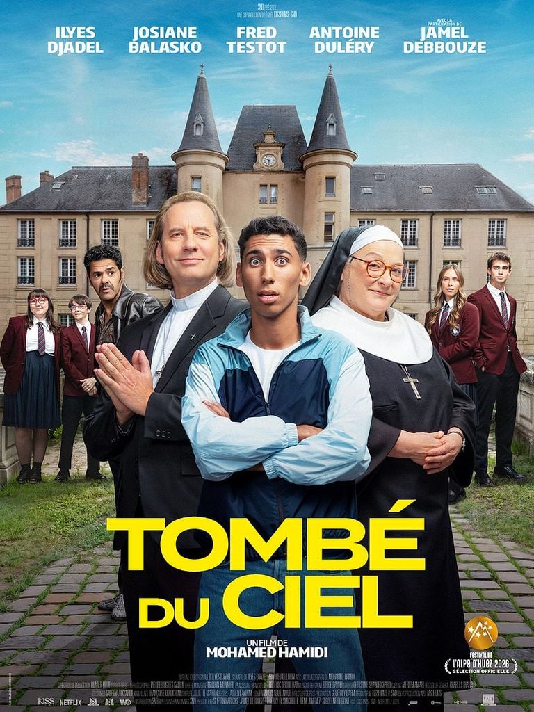 Affiche du film « Tombé du ciel »